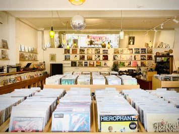 Your Ultimate Vinyl Record Destination