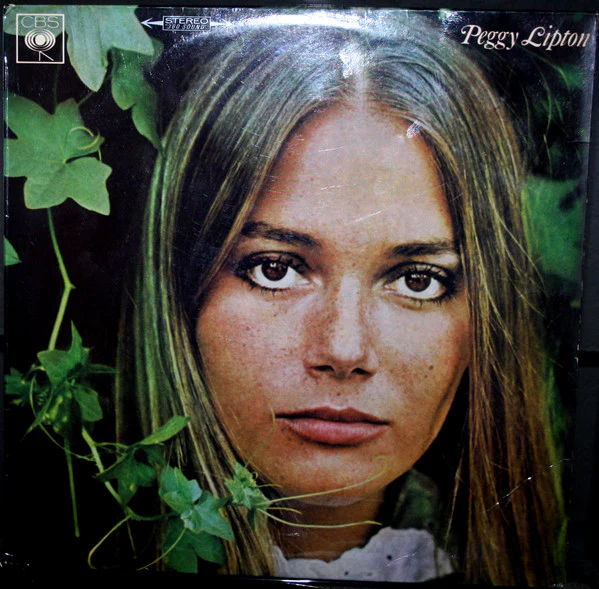 Wholesale Record Sleeves for Vinyl LPs